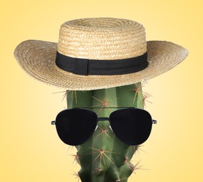 Image of Cactus with sunglasses and hat against pale orange background