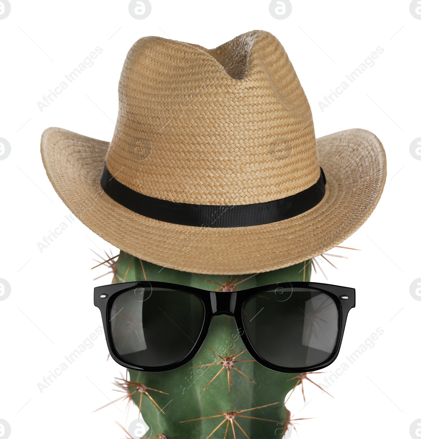 Cactus with sunglasses and hat against white background Image of Cactus with sunglasses and hat against white background