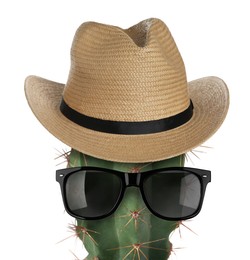 Image of Cactus with sunglasses and hat against white background