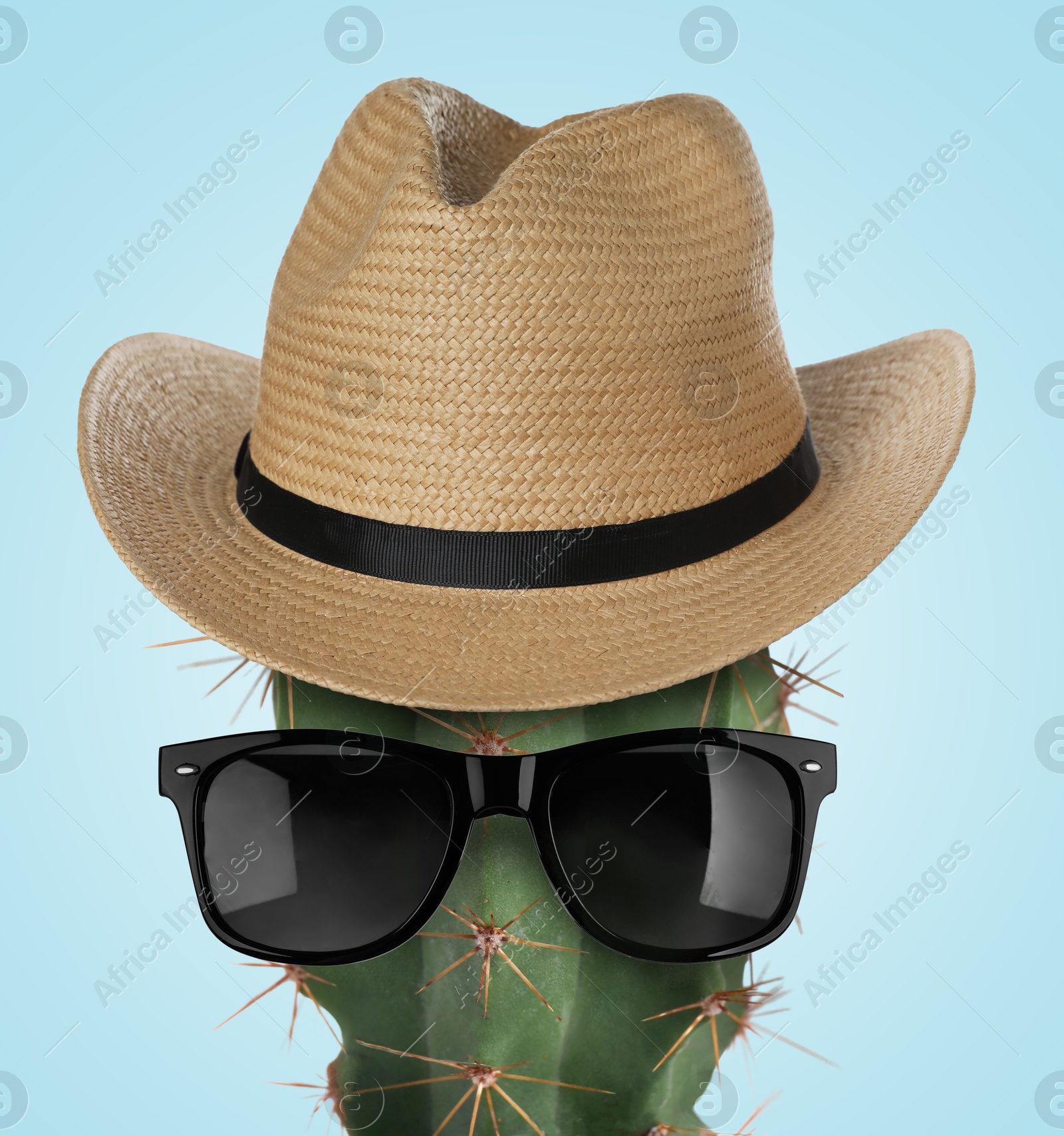 Image of Cactus with sunglasses and hat against light blue background