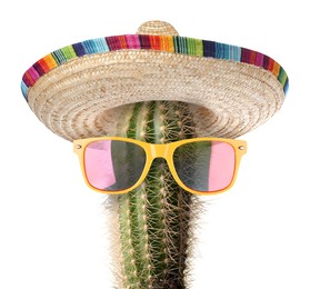Image of Cactus with sunglasses and sombrero hat against white background