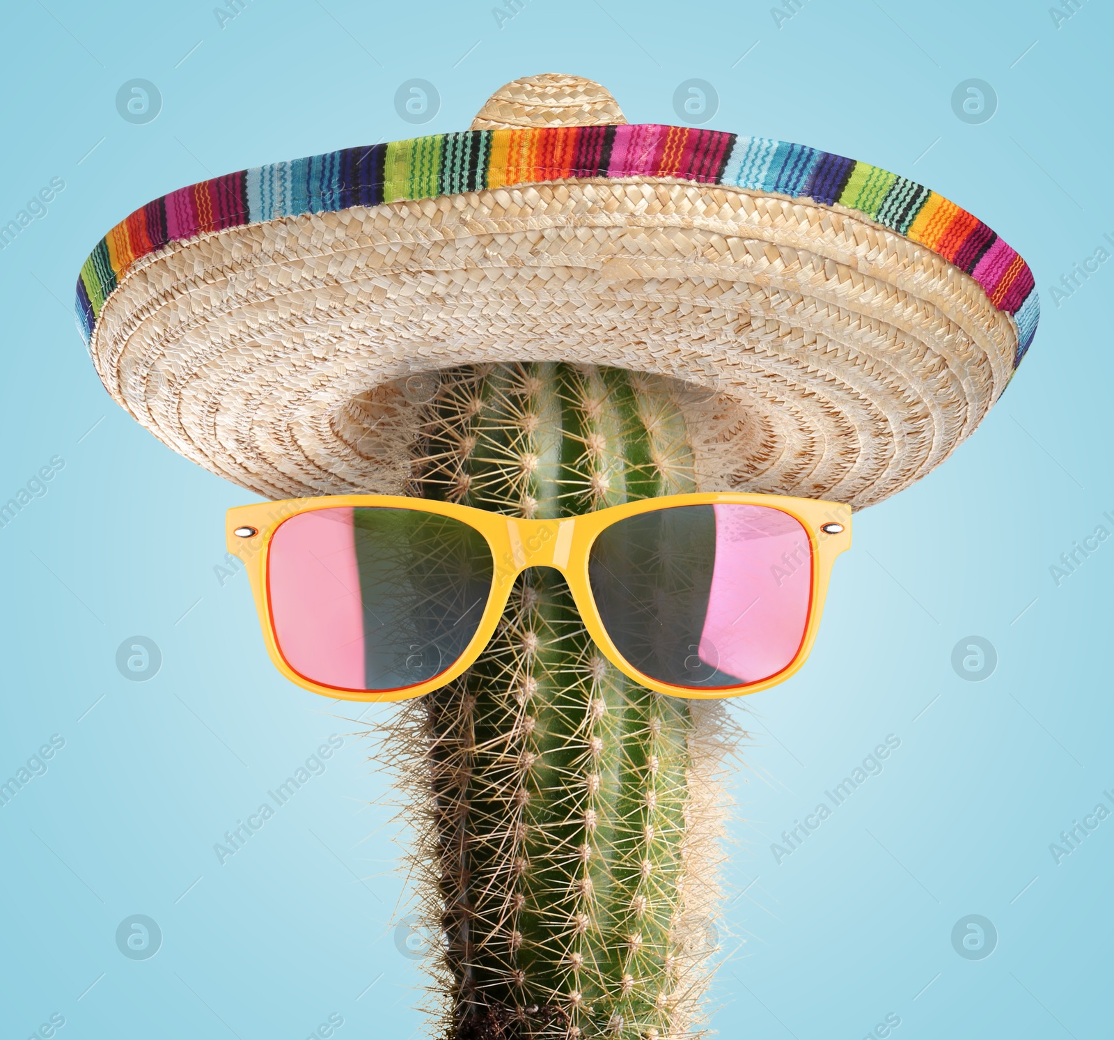 Cactus with sunglasses and sombrero hat against light blue background Image of Cactus with sunglasses and sombrero hat against light blue background