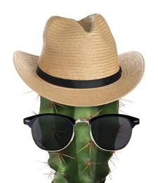 Image of Cactus with sunglasses and hat against white background
