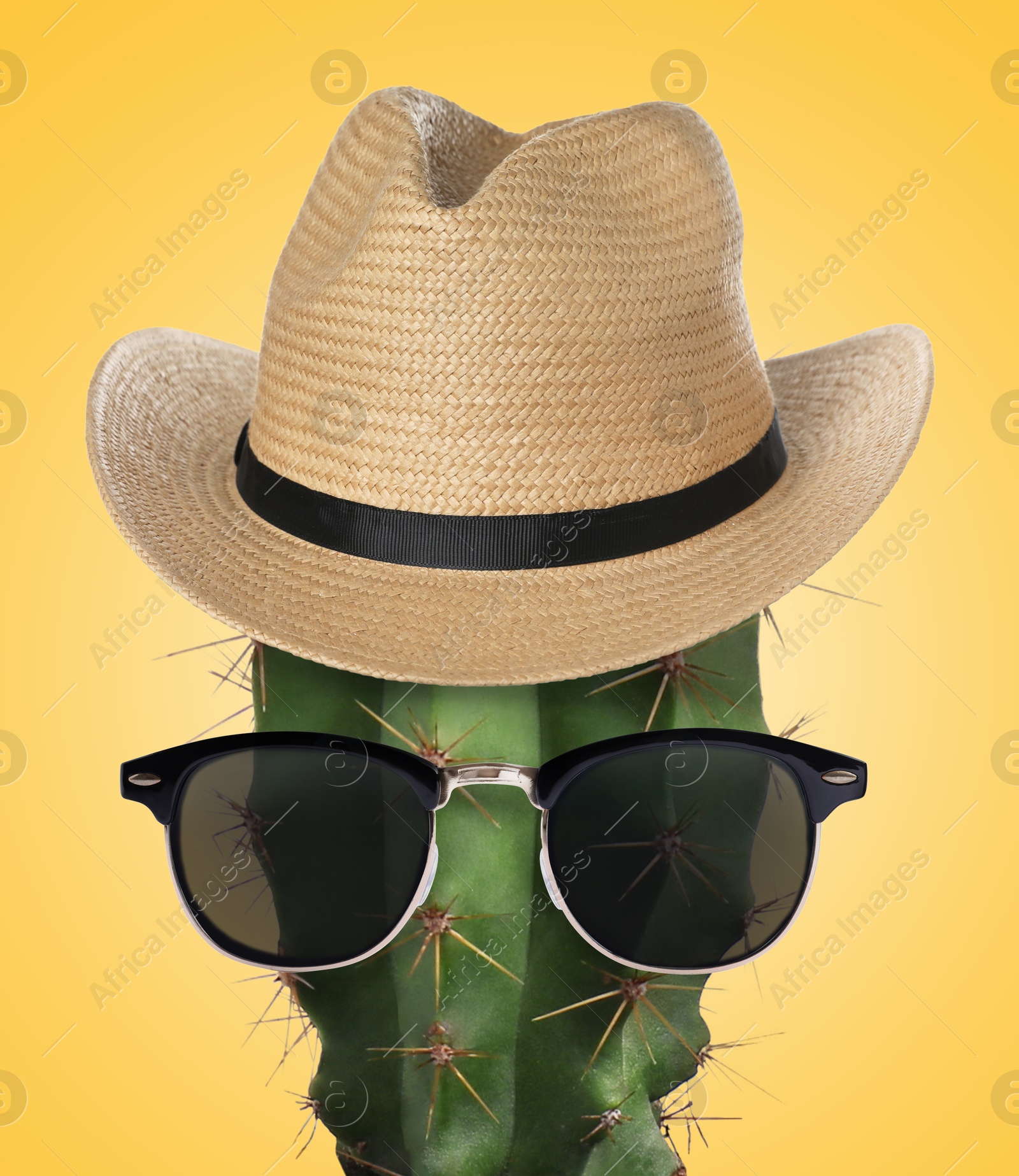 Image of Cactus with sunglasses and hat against pale orange background