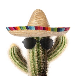 Image of Cactus with sunglasses and sombrero hat against white background