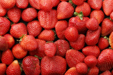 Photo of Fresh ripe strawberries as background, top view