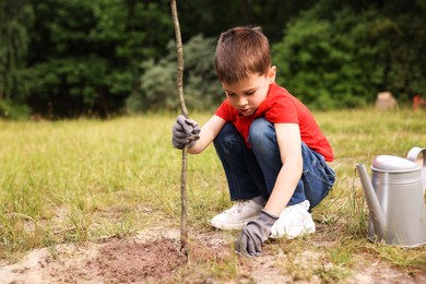 Photo of Little boy planting tree into soil outdoors
