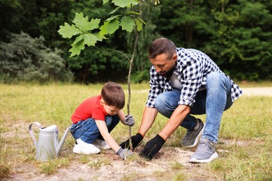 Photo of Father and his son planting tree into soil outdoors