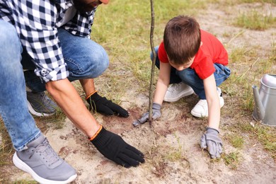 Photo of Father and his son planting tree into soil outdoors, closeup
