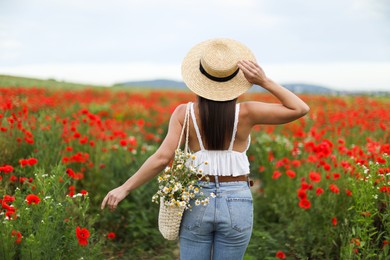 Photo of Woman in hat with bag of chamomile flowers in wildflower meadow, back view