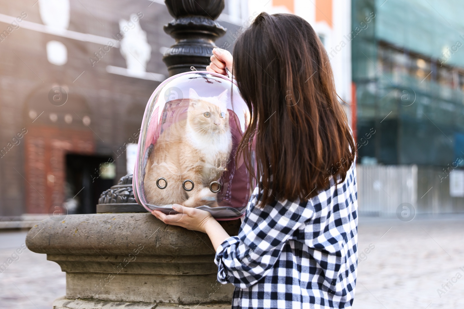 Woman with her cute cat in backpack carrier on city street Photo of Woman with her cute cat in backpack carrier on city street