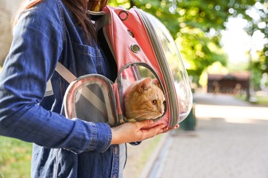 Photo of Woman with her cute cat in backpack carrier at park, closeup