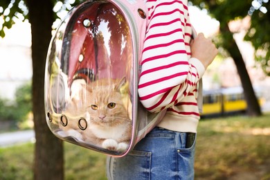 Photo of Woman with her cute cat in backpack carrier at park, closeup