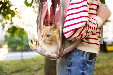 Photo of Woman with her cute cat in backpack carrier at park, closeup