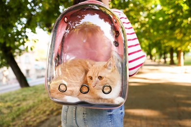 Photo of Woman with her cute cat in backpack carrier at park, closeup