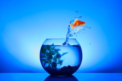 Image of Goldfish jumping out of glass bowl against blue background