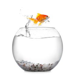 Image of Goldfish jumping out of glass bowl against white background