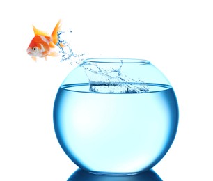 Image of Goldfish jumping out of glass bowl against white background