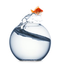 Image of Goldfish jumping out of glass bowl against white background