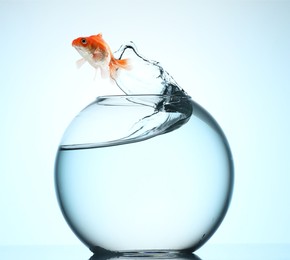 Image of Goldfish jumping out of glass bowl against light blue background
