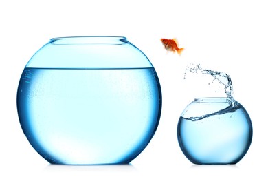 Image of Goldfish jumping out of small glass bowl into bigger one against white background