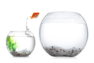 Image of Goldfish jumping out of small glass bowl into bigger one against white background