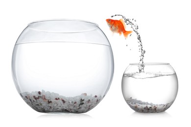 Image of Goldfish jumping out of small glass bowl into bigger one against white background