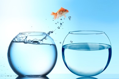 Image of Goldfish jumping out of glass bowl into another one against light blue gradient background