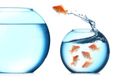 Image of Goldfish jumping out of small glass bowl into bigger one against white background