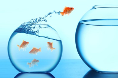 Image of Goldfish jumping out of glass small bowl into bigger one against light blue background