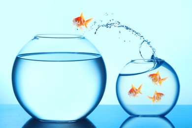 Image of Goldfish jumping out of small glass bowl into bigger one against light blue background