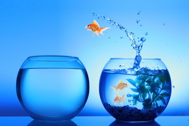 Image of Goldfish jumping out of glass bowl into another one against blue background
