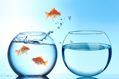 Image of Goldfish jumping out of glass bowl into another one against light blue gradient background