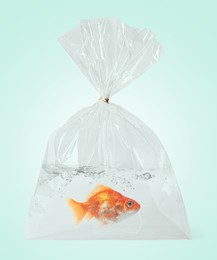 Image of Goldfish in plastic bag with water on light blue background