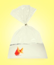 Image of Goldfish in plastic bag with water on yellow background