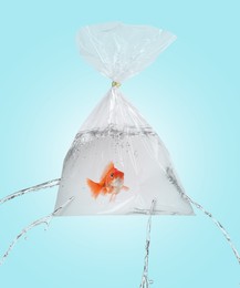 Image of Goldfish in leaking plastic bag on light blue background. Water flowing out of holes