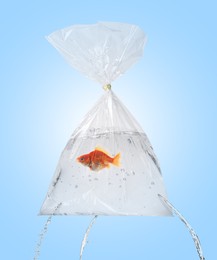 Image of Goldfish in leaking plastic bag on light blue background. Water flowing out of holes