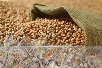 Image of Rising wheat price. Grains and dollar bills, double exposure