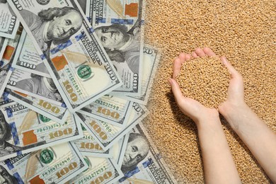 Image of Rising wheat price. Woman holding grains and dollar bills, double exposure