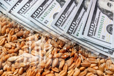 Image of Rising wheat price. Grains, graph and dollar bills, multiple exposure