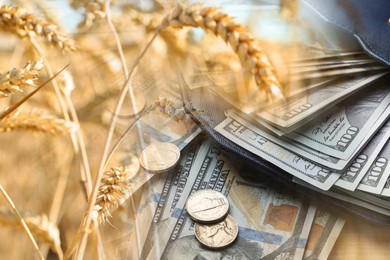 Image of Rising grain price. Wheat field and dollar bills, double exposure