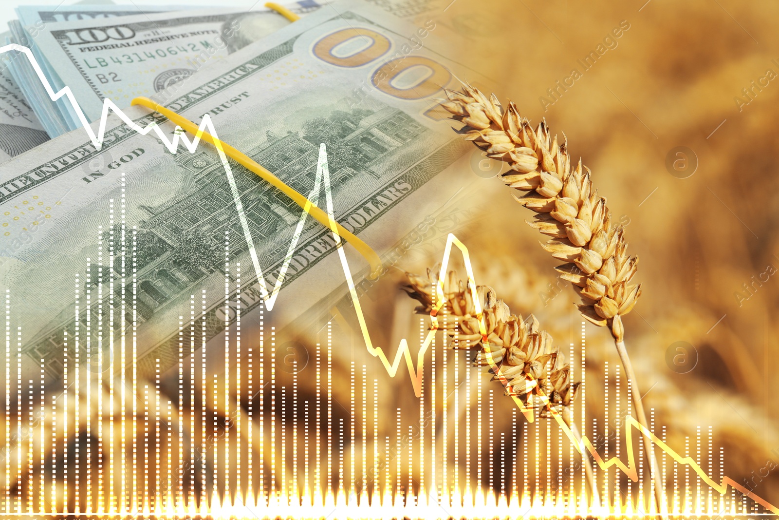 Rising grain price. Wheat field, graph and euro bills, multiple exposure Image of Rising grain price. Wheat field, graph and euro bills, multiple exposure