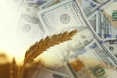 Image of Rising grain price. Ear of wheat and dollar bills, double exposure