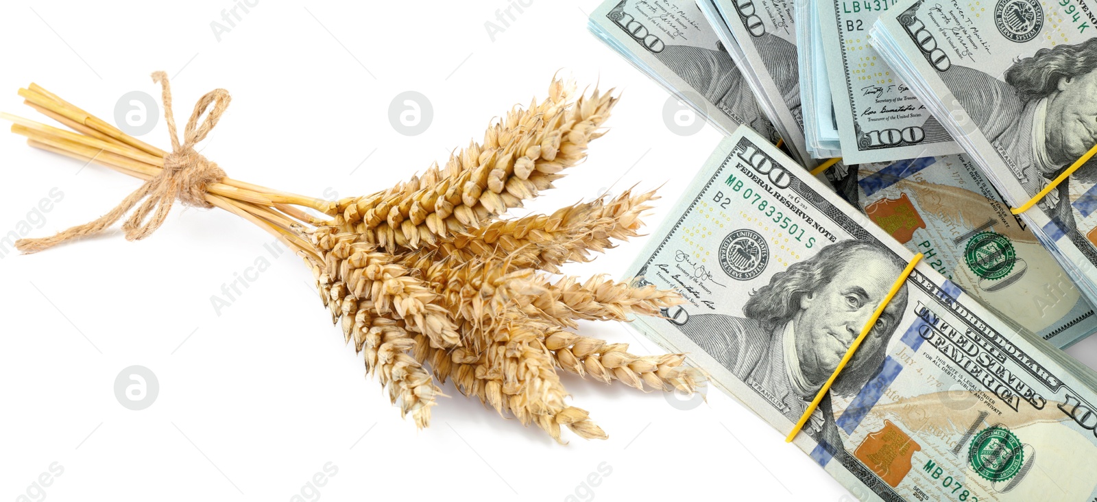 Rising grain price. Ears of wheat and dollar bills on white background, double exposure. Banner design Image of Rising grain price. Ears of wheat and dollar bills on white background, double exposure. Banner design