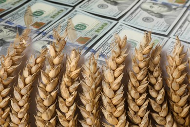 Image of Rising grain price. Ears of wheat and dollar bills, double exposure