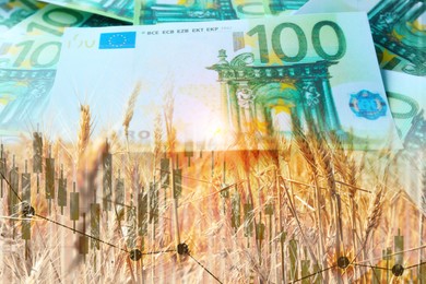 Image of Rising grain price. Wheat field, graph and euro bills, multiple exposure