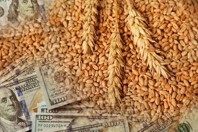Image of Rising wheat price. Grains and dollar bills, double exposure