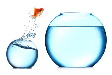 Image of Goldfish jumping out of small glass bowl into bigger one against white background