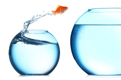 Image of Goldfish jumping out of small glass bowl into bigger one against white background