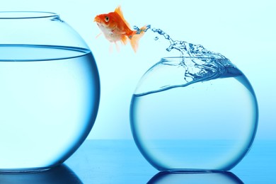 Image of Goldfish jumping out of small glass bowl into bigger one against light blue background
